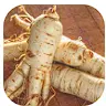 Panax ginseng root