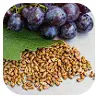 Grapes and grape seeds