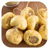 Maca root